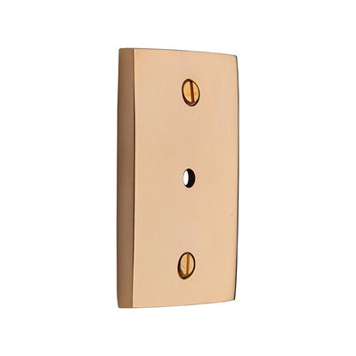 Ashley Norton MT42SQ Rectangular Backplate in Unlacquered Brass