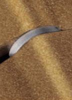 TECTUS TE 240 3D Concealed Hinge by Simonswerk - Hardware by Design