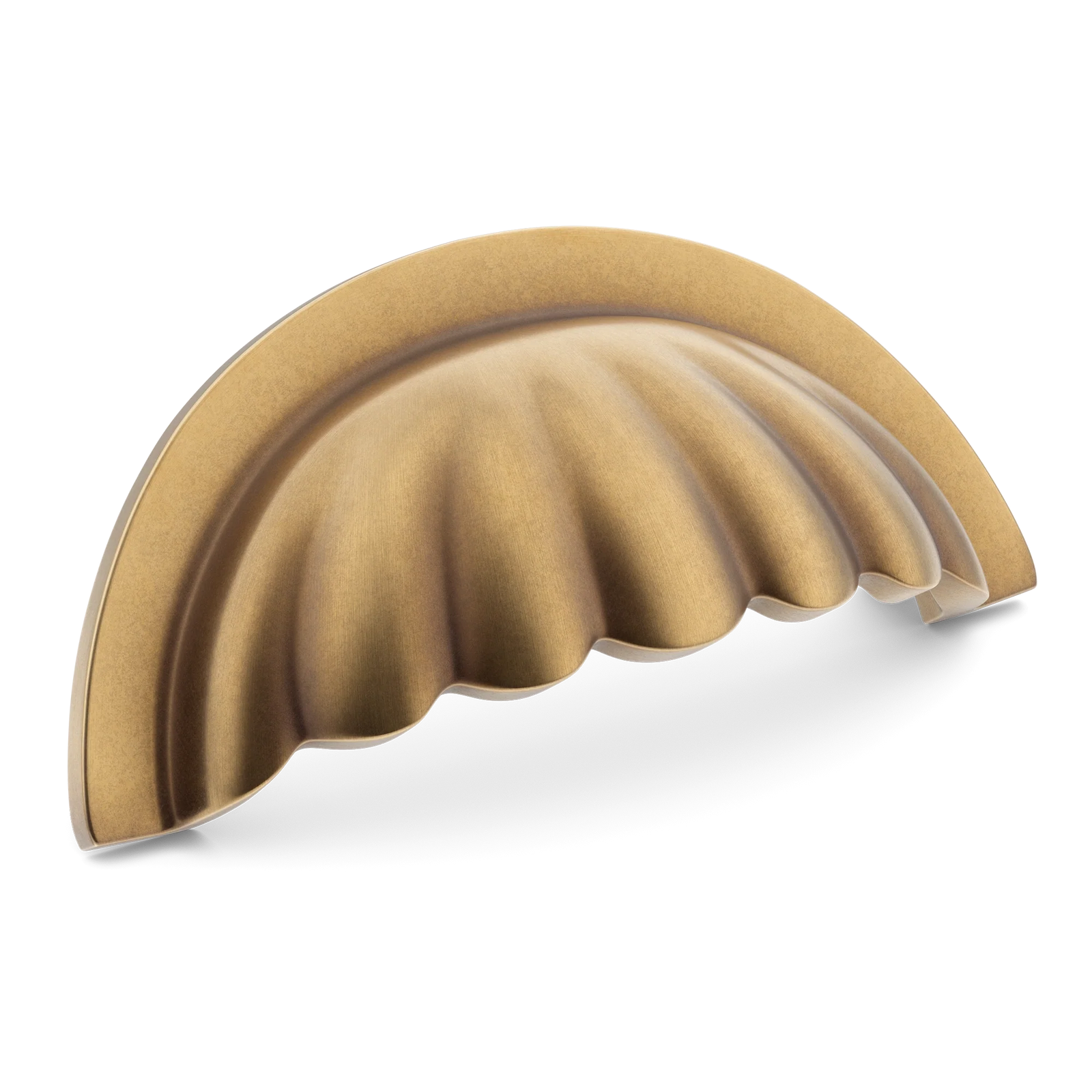 Armac Martin Aberdovey Shell Cup Pull in 76mm / Fine English Antique