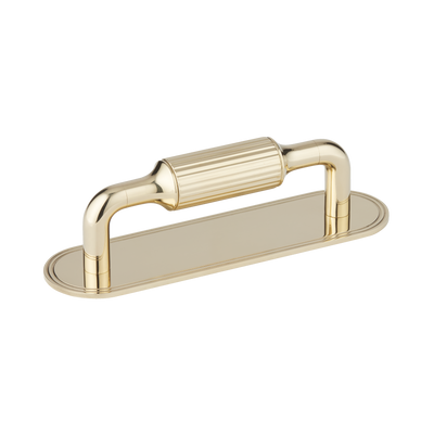 Armac Martin Barwick Ridged Cabinet Pull Handle with Backplate