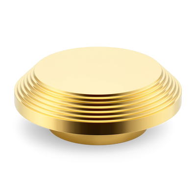 Armac Martin Victoria Stepped Circular Pull Handle in 100mm / Polished Brass Lacquered