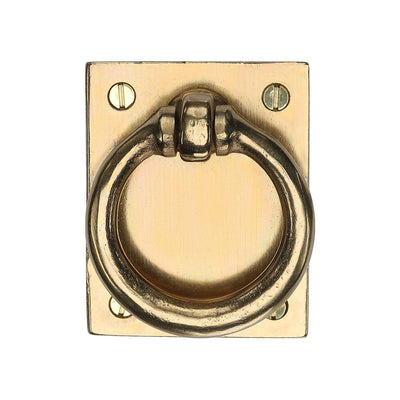 Ashley Norton 6367 Drop Pull on Plate in Natural Bronze
