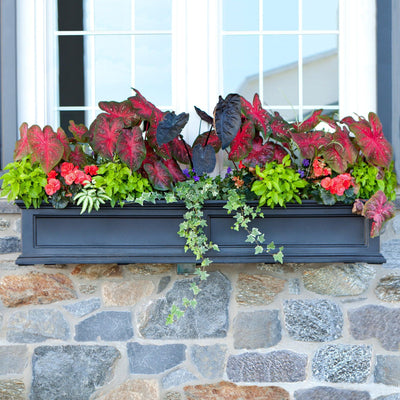 Fairfield 5FT Window Box - Black - Hardware by Design