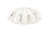 Schaub and Company 854-MOP/PN