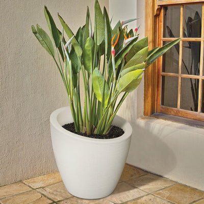 Modesto 20in Round Planter - White - Hardware by Design