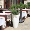 Modesto 32in Tall Planter - White - Hardware by Design