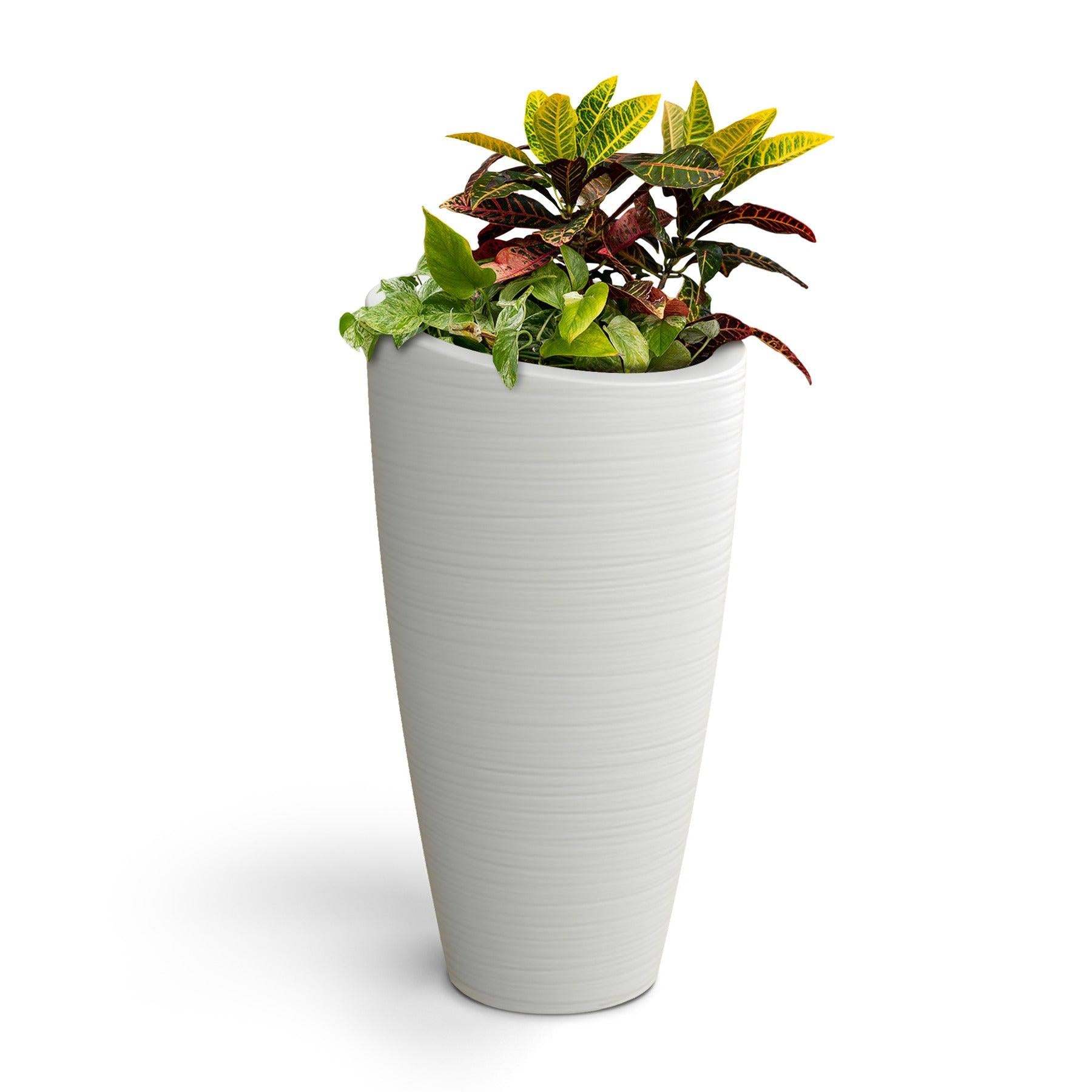 Modesto 32in Tall Planter - White - Hardware by Design