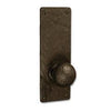 Coastal Bronze 110-00-PAS/PIN-01
